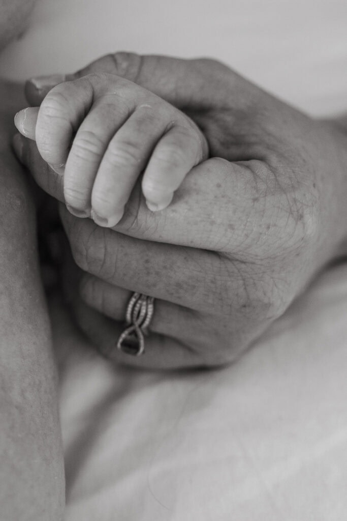 Brentwood Newborn Photographer