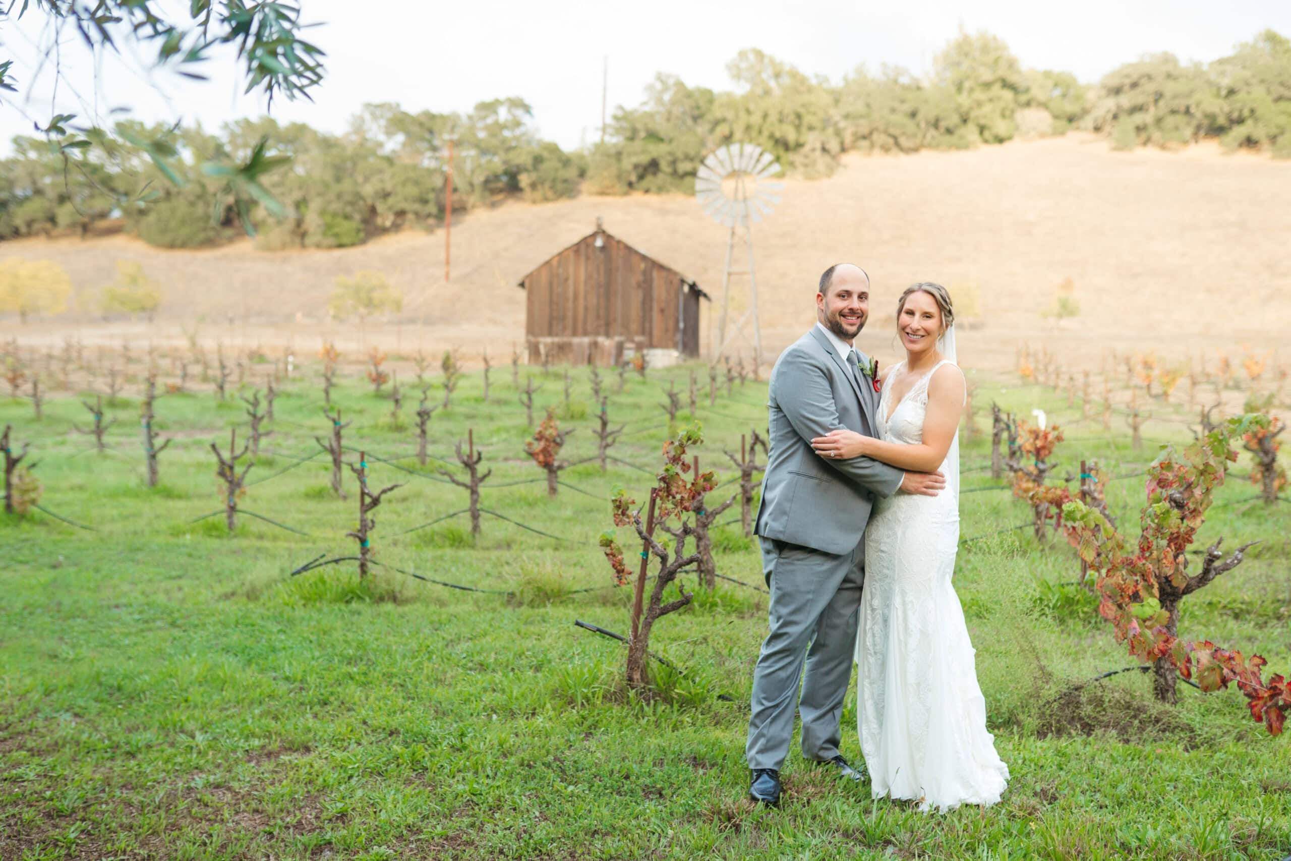 murrieta's well wedding portraits in the vineyard