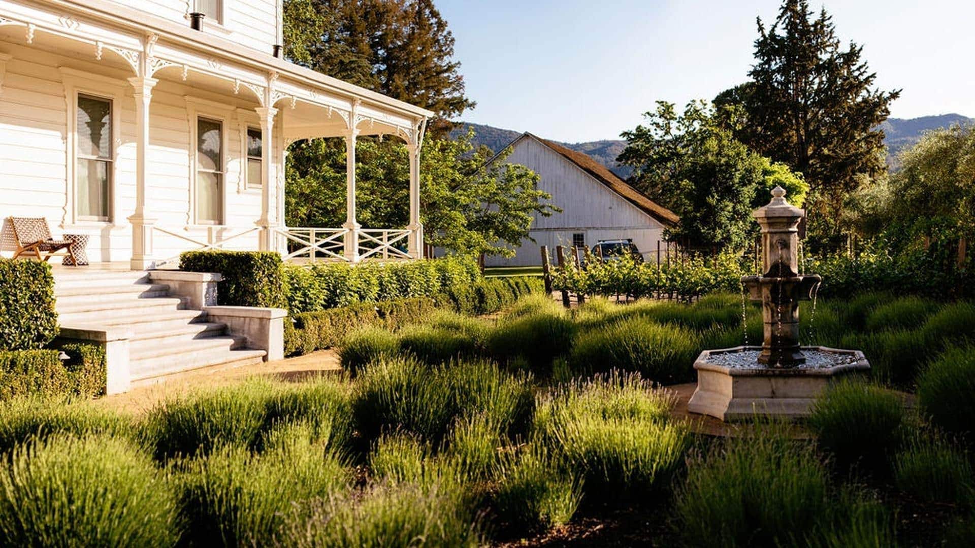 intimate wedding ceremony at The Ink House St Helena Napa Valley