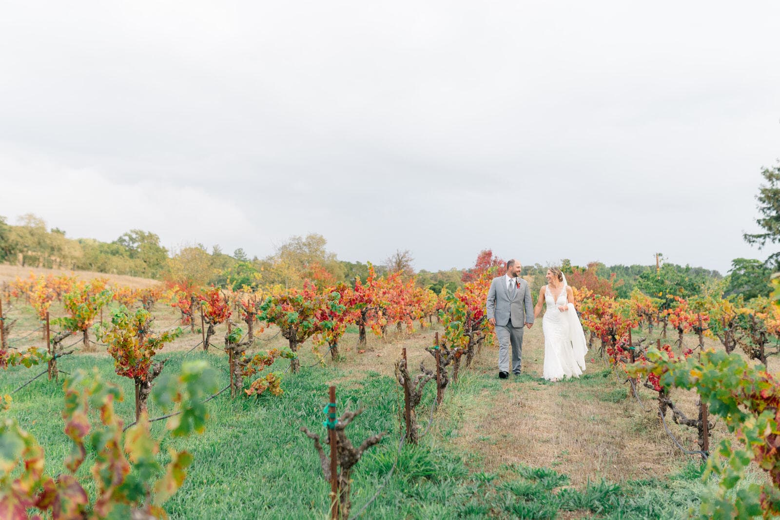 Newlyweds hold hands and smile at each other while walking through the rows of a vineyard at one of the Livermore wedding venues
