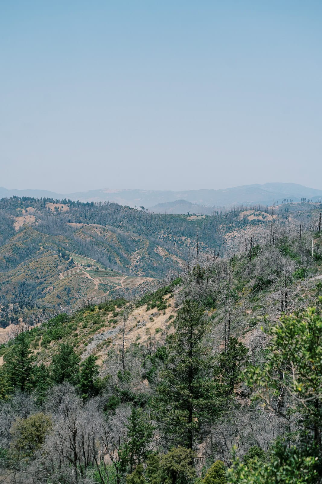 overlook at wedding venue in livermore ca, wedding photographer vanessa montano