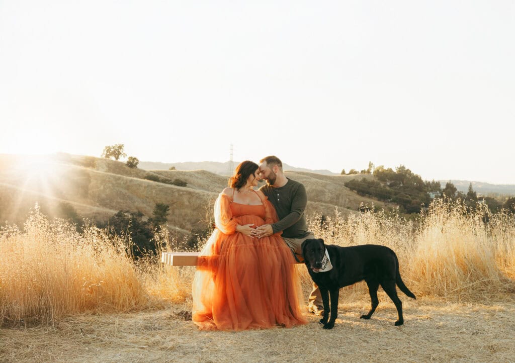 Bay Area family photographer offering dog-inclusive family photoshoot sessions