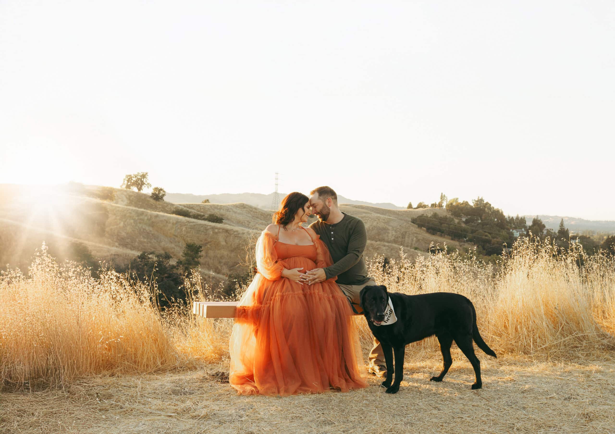 Bay Area family photographer offering dog-inclusive family photoshoot sessions
