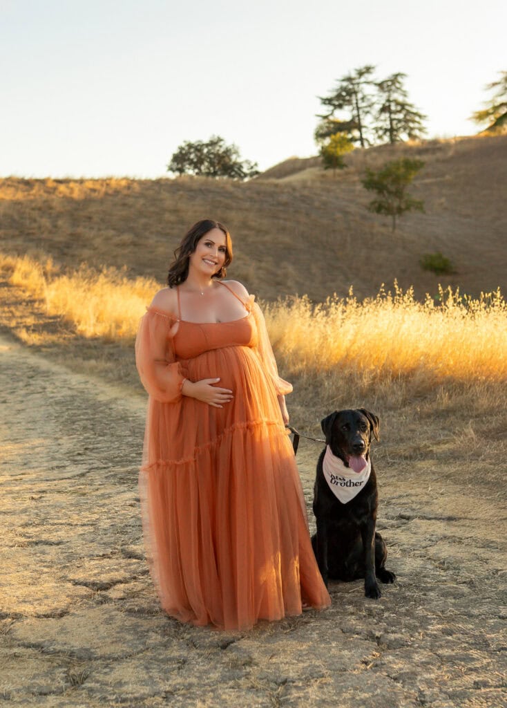 Bernese Mountain Dog sitting calmly with family during golden hour photoshoot